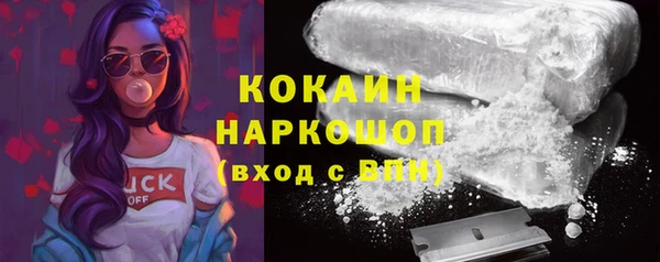 гидра Елабуга