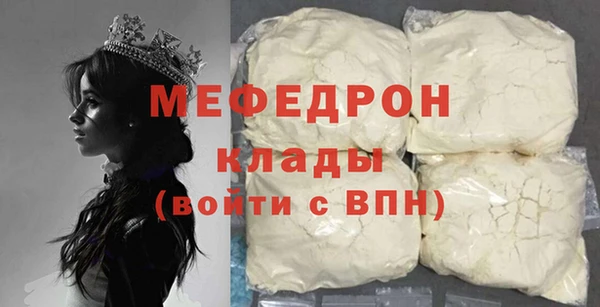 ECSTASY Ельня