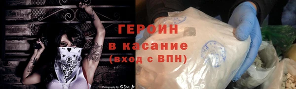 гидра Елабуга