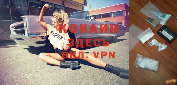 ECSTASY Ельня