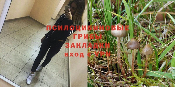 кристаллы Дмитров
