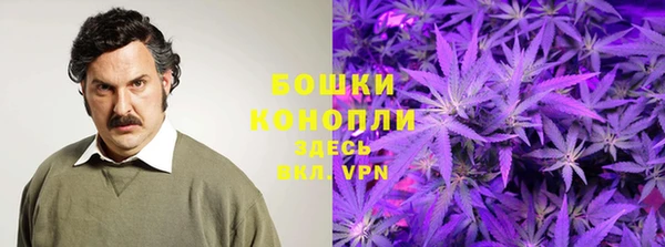 ECSTASY Ельня