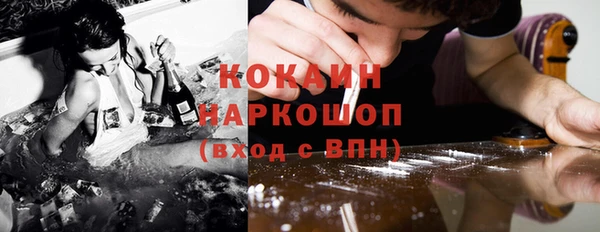 гидра Елабуга