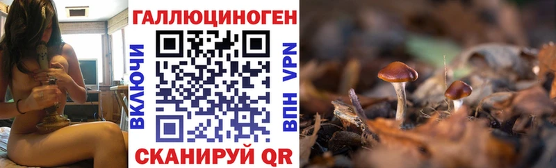 Галлюциногенные грибы Magic Shrooms  Вельск 