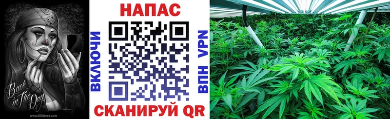 Конопля White Widow  блэк спрут онион  Вельск  цены наркотик 